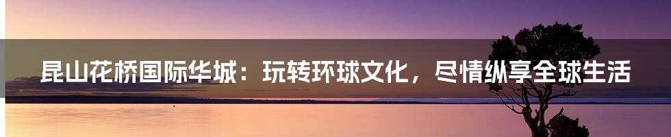 昆山花桥国际华城:玩转环球文化,尽情纵享全球生活