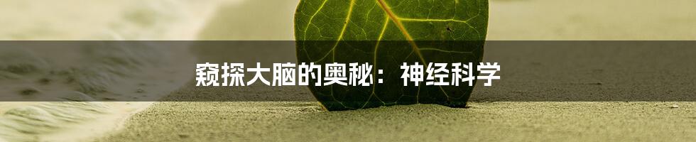 窥探大脑的奥秘：神经科学