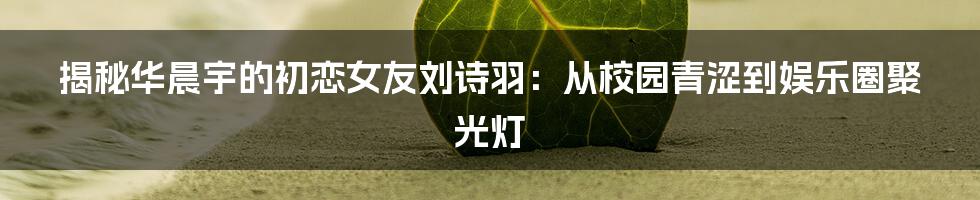 揭秘华晨宇的初恋女友刘诗羽:从校园青涩到娱乐圈聚光灯