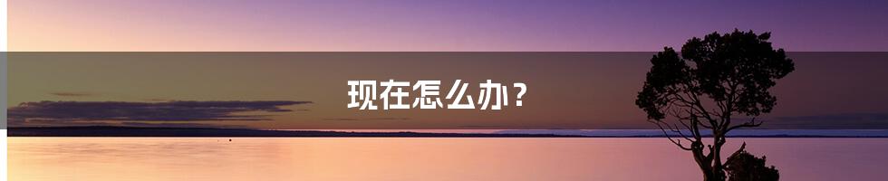 现在怎么办?
