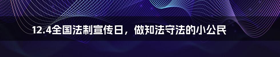 12.4全国法制宣传日,做知法守法的小公民