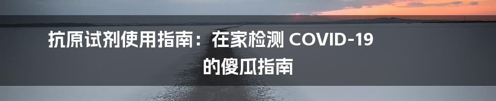 抗原试剂使用指南：在家检测 COVID-19 的傻瓜指南