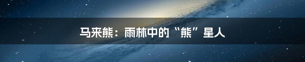 马来熊:雨林中的“熊”星人