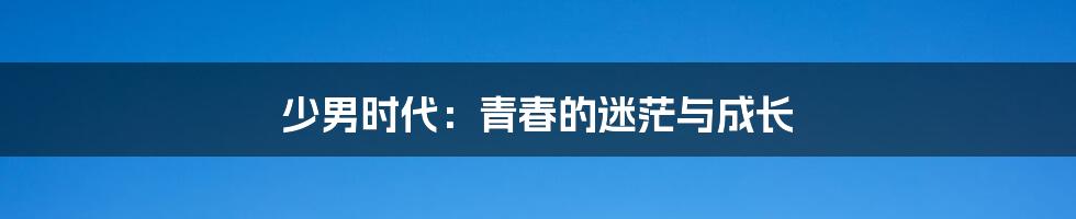 少男时代:青春的迷茫与成长