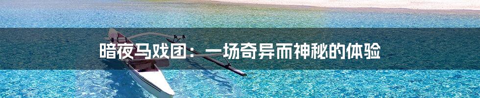 暗夜马戏团:一场奇异而神秘的体验