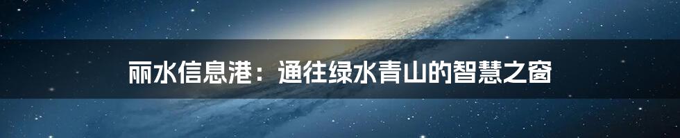 丽水信息港:通往绿水青山的智慧之窗