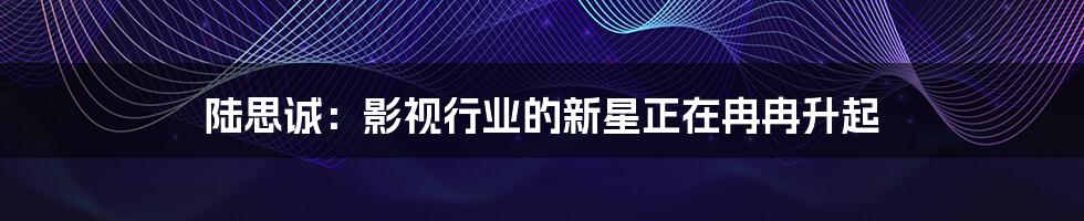 陆思诚:影视行业的新星正在冉冉升起
