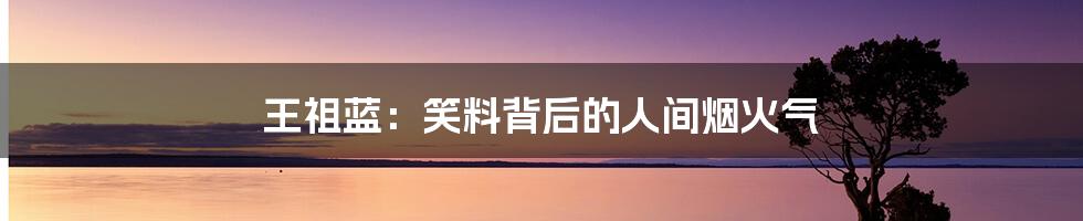 王祖蓝:笑料背后的人间烟火气