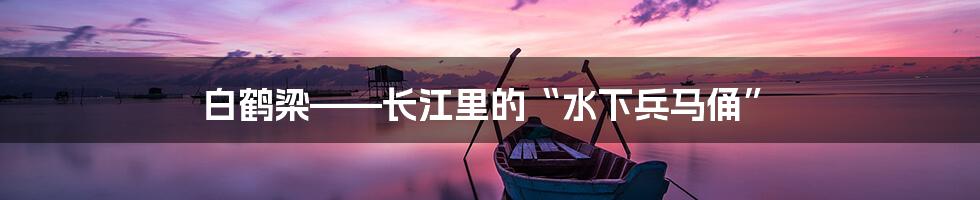 白鹤梁——长江里的“水下兵马俑”