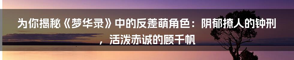 为你揭秘《梦华录》中的反差萌角色:阴郁撩人的钟刑,活泼赤诚的顾千帆