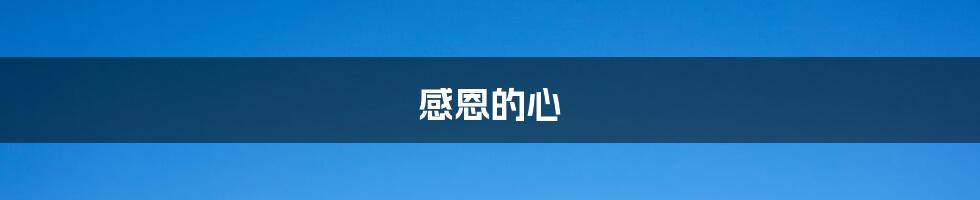 感恩的心