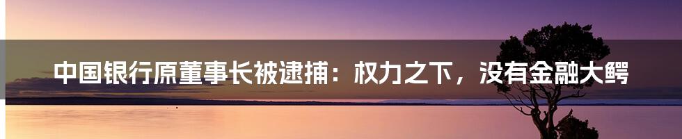 中国银行原董事长被逮捕：权力之下，没有金融大鳄