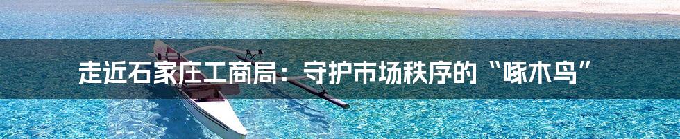 走近石家庄工商局:守护市场秩序的“啄木鸟”