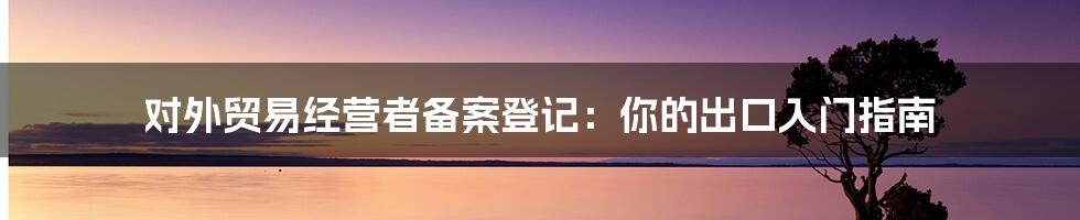 对外贸易经营者备案登记:你的出口入门指南