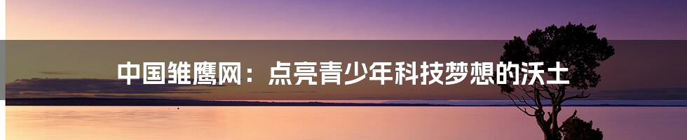 中国雏鹰网:点亮青少年科技梦想的沃土