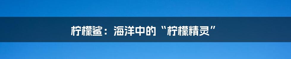 柠檬鲨:海洋中的“柠檬精灵”