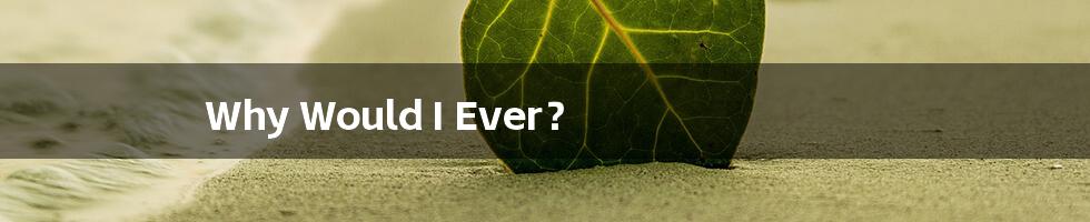 Why Would I Ever?