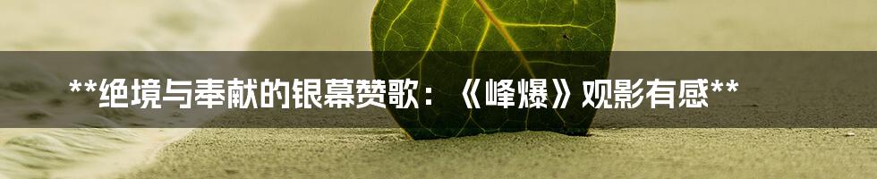 **绝境与奉献的银幕赞歌:《峰爆》观影有感**