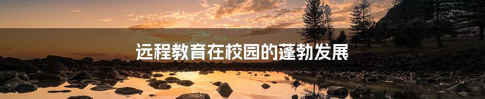 远程教育在校园的蓬勃发展