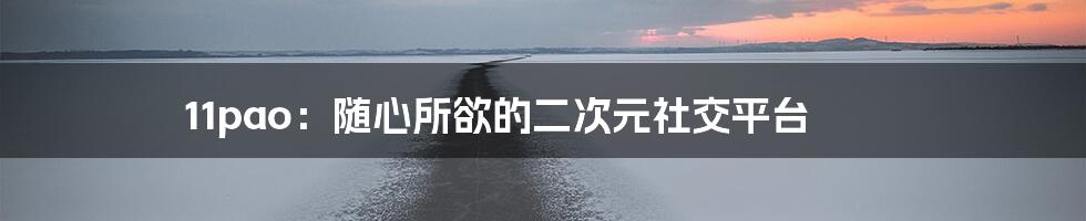 11pao：随心所欲的二次元社交平台