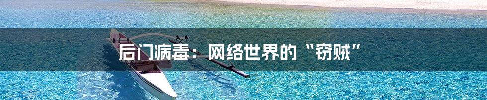 后门病毒:网络世界的“窃贼”