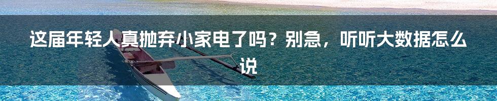 这届年轻人真抛弃小家电了吗？别急，听听大数据怎么说