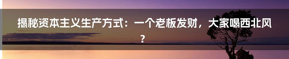 揭秘资本主义生产方式：一个老板发财，大家喝西北风？