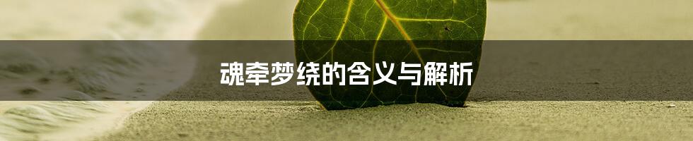 魂牵梦绕的含义与解析