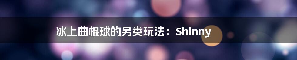 冰上曲棍球的另类玩法:Shinny