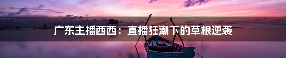 广东主播西西:直播狂潮下的草根逆袭