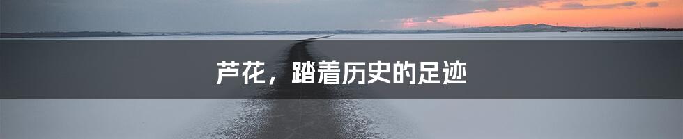 芦花,踏着历史的足迹