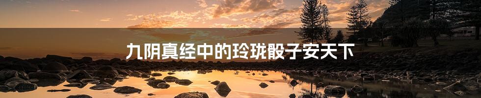 九阴真经中的玲珑骰子安天下