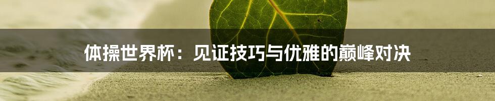 体操世界杯:见证技巧与优雅的巅峰对决