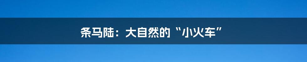 条马陆:大自然的“小火车”