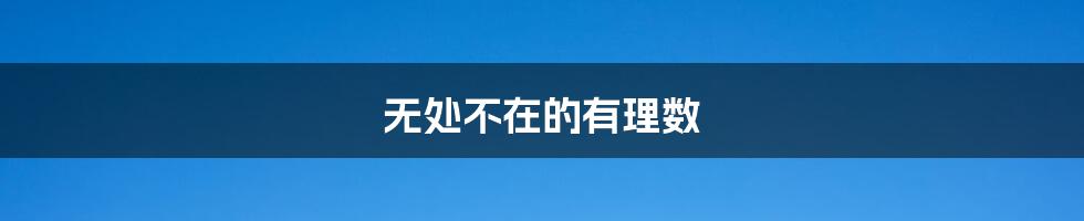 无处不在的有理数