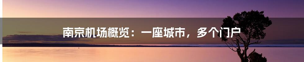南京机场概览:一座城市,多个门户