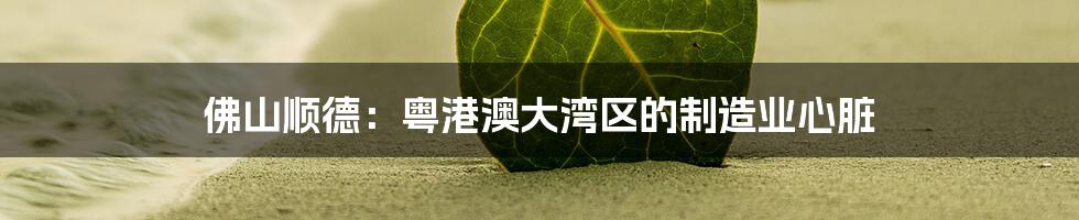 佛山顺德:粤港澳大湾区的制造业心脏