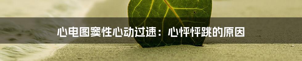 心电图窦性心动过速:心怦怦跳的原因