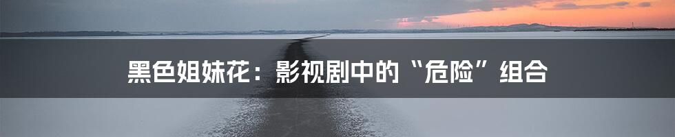 黑色姐妹花:影视剧中的“危险”组合