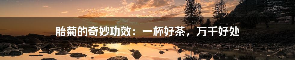 胎菊的奇妙功效:一杯好茶,万千好处