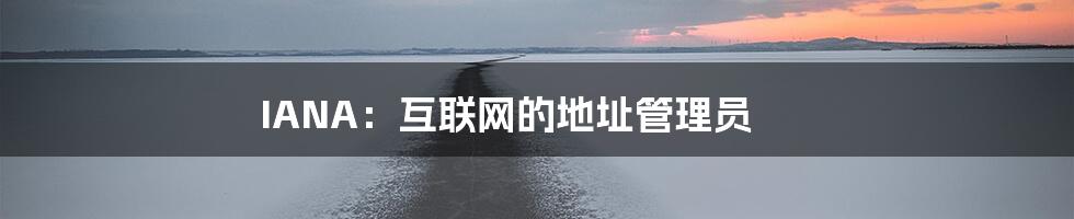 IANA：互联网的地址管理员