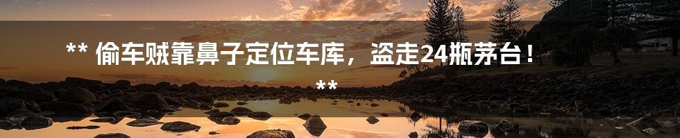 **
偷车贼靠鼻子定位车库,盗走24瓶茅台!
**