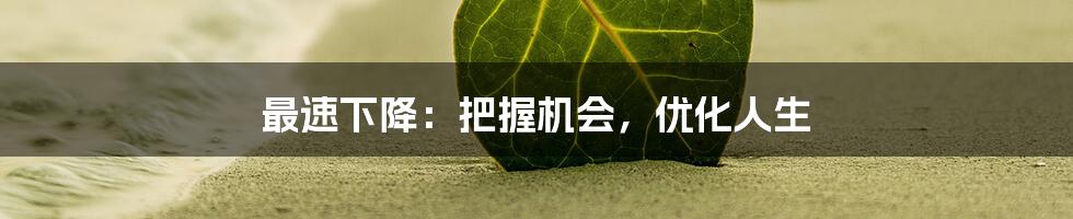 最速下降:把握机会,优化人生