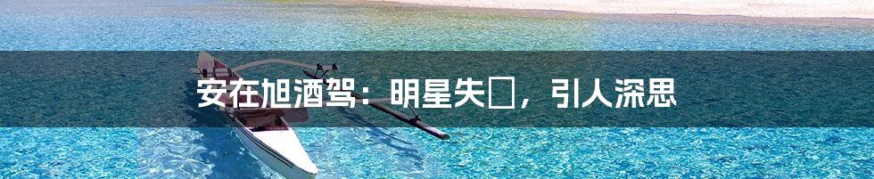 安在旭酒驾:明星失徳,引人深思