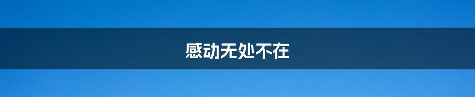 感动无处不在