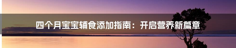 四个月宝宝辅食添加指南：开启营养新篇章