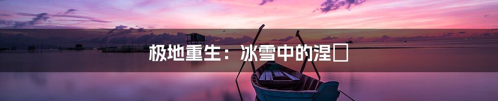 极地重生:冰雪中的涅槃