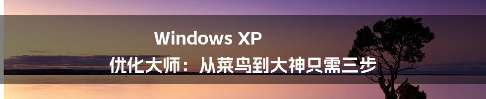 Windows XP 优化大师:从菜鸟到大神只需三步
