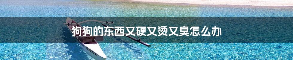 狗狗的东西又硬又烫又臭怎么办