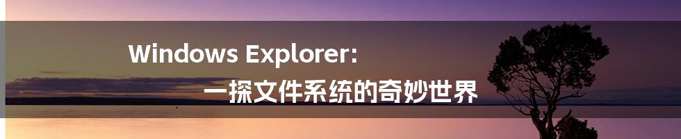 Windows Explorer: 一探文件系统的奇妙世界